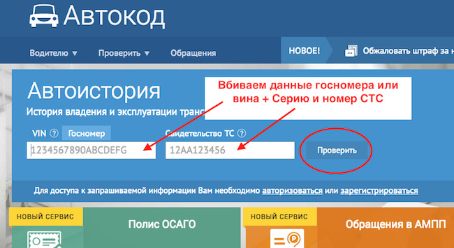 Заключение