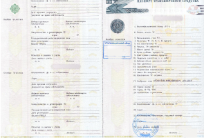 Заключение